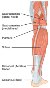 achilles tendinopathy